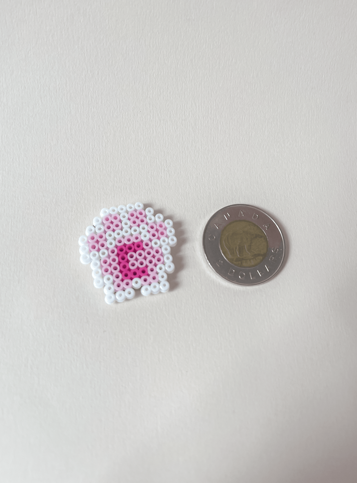 Paw Print Letter Magnet: Custom